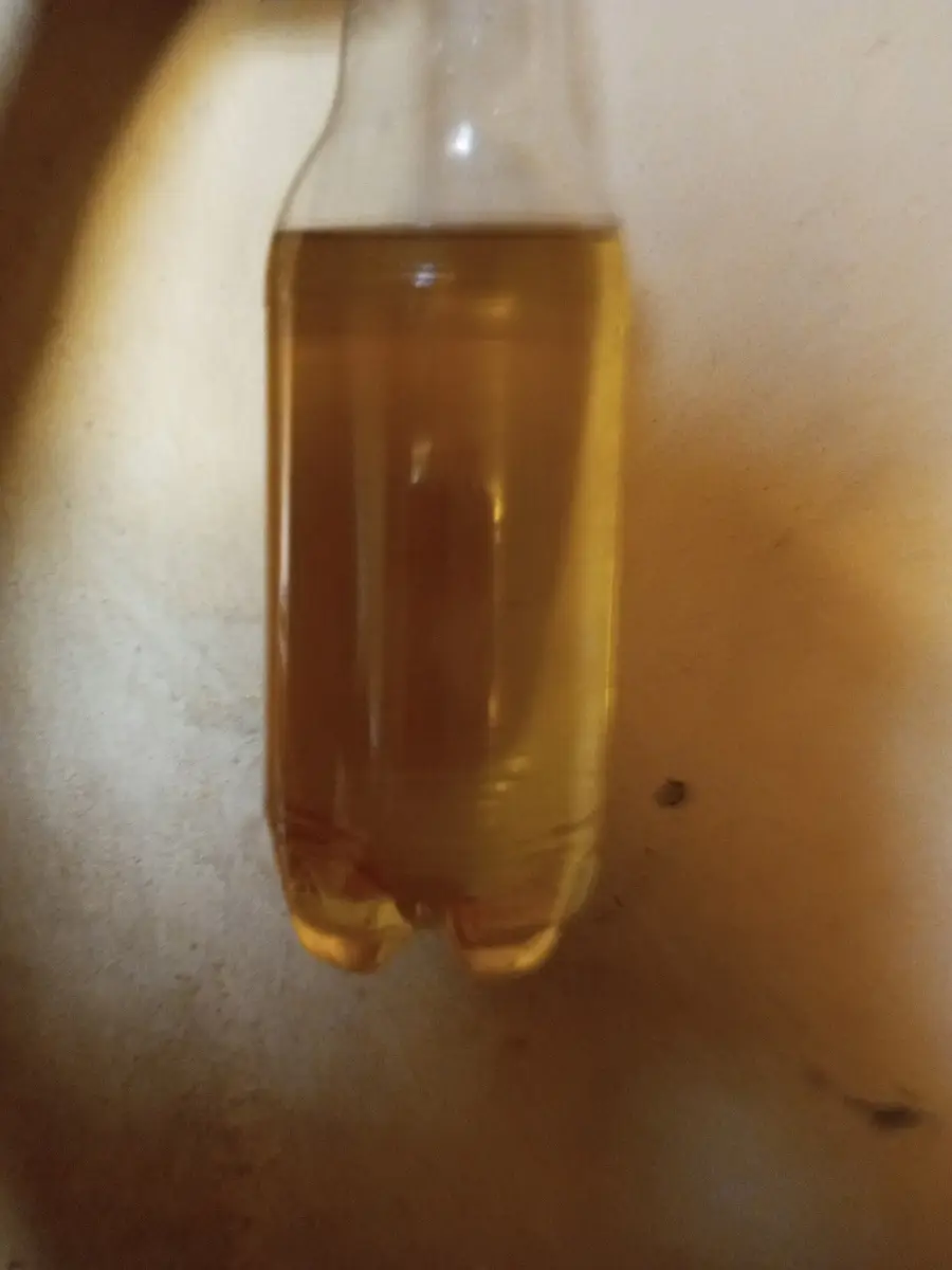 Gold Star Refined Soyabean Oil