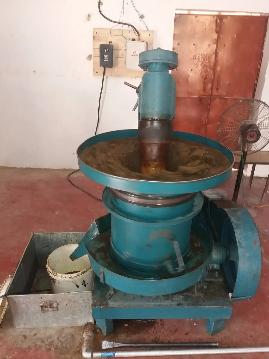 Madhuri Filtered Mustard Oil